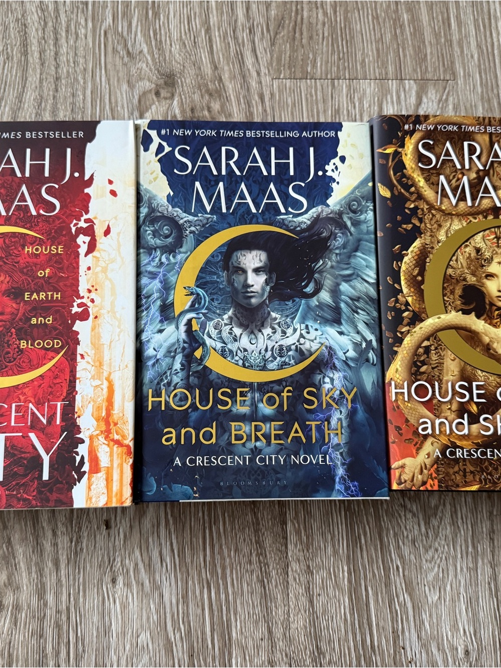 Crescent City Book Bundle